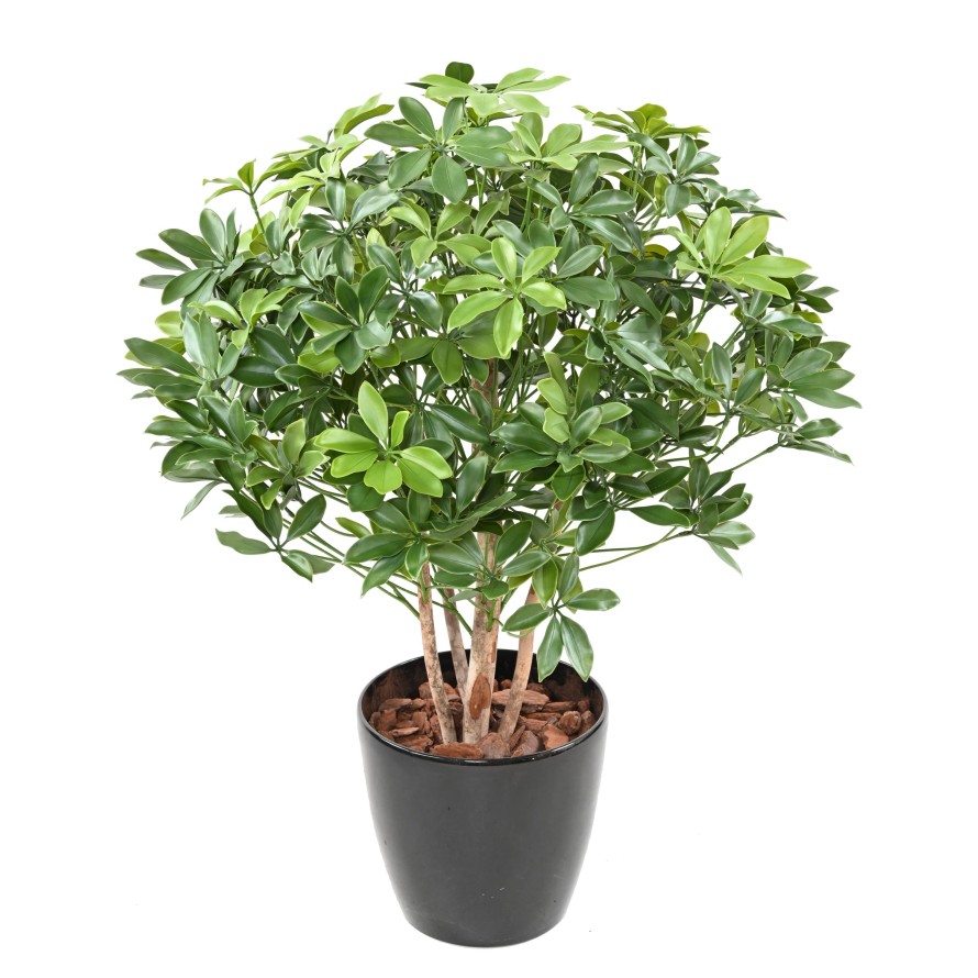 SCHEFFLERA ARBUSTO PLÁST. RESISTENTE A LOS RAYOS UV