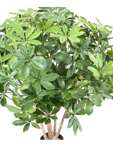 SCHEFFLERA ARBUSTO PLÁST. RESISTENTE A LOS RAYOS UV