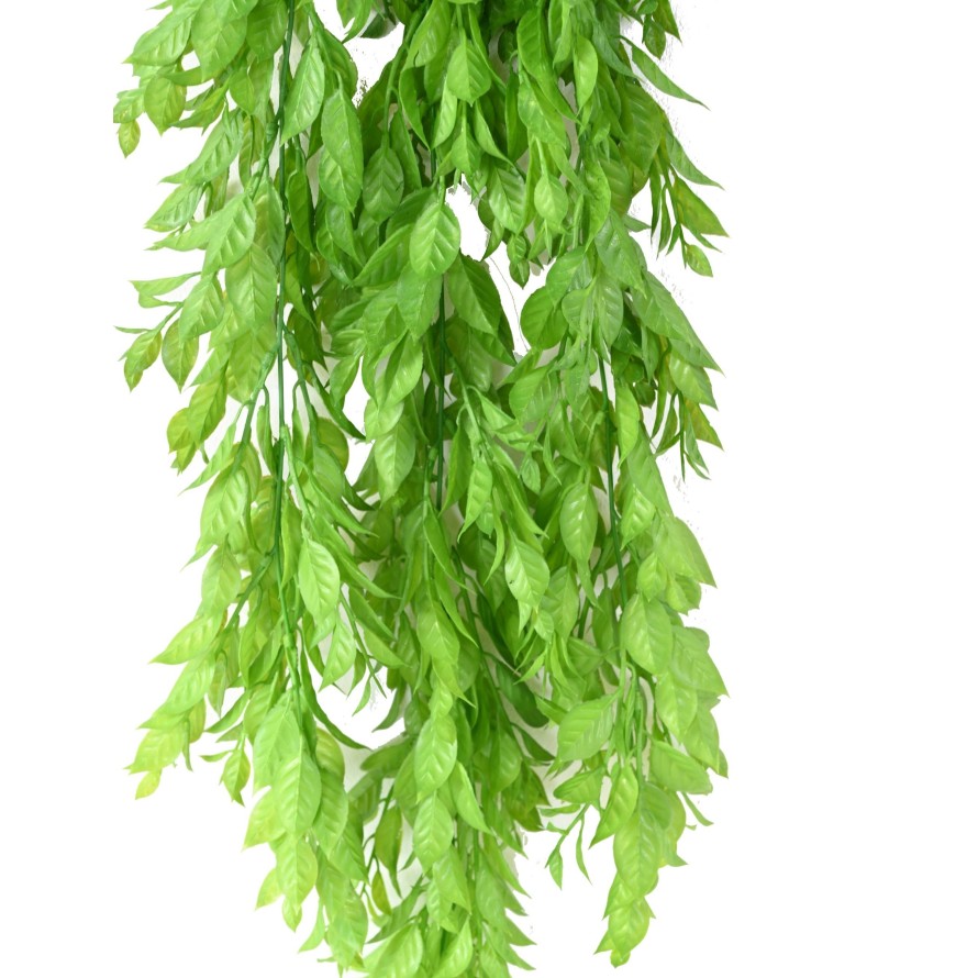 MELISSE HÄNGEKUNSTPFLANZE