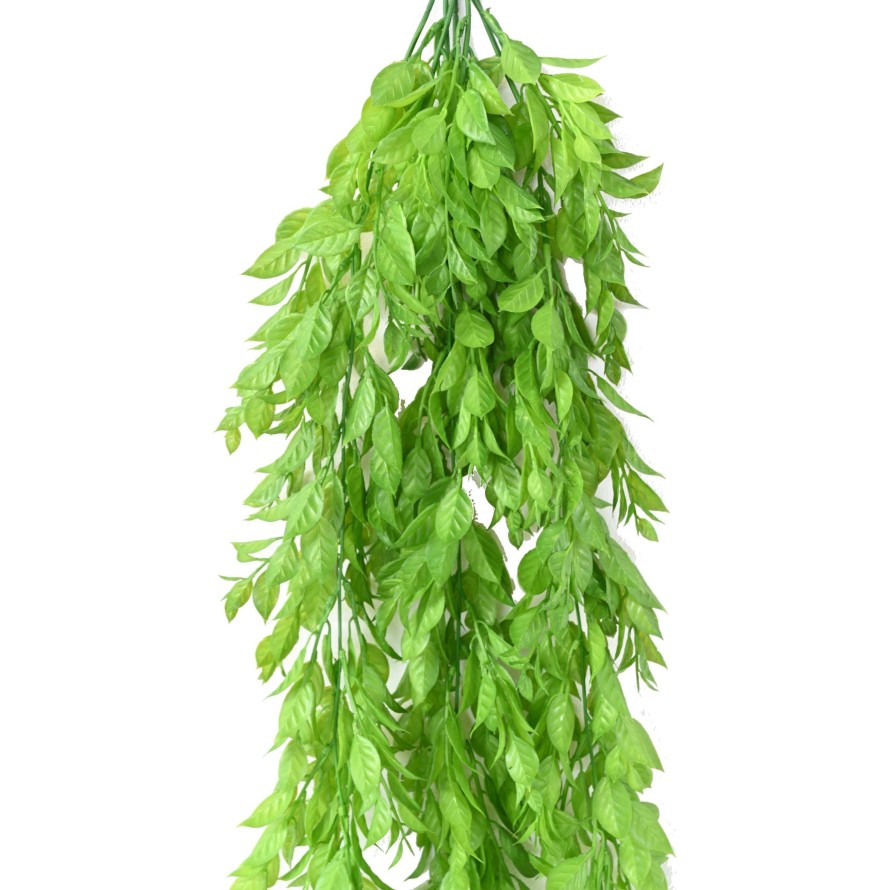 MELISSE HÄNGEKUNSTPFLANZE