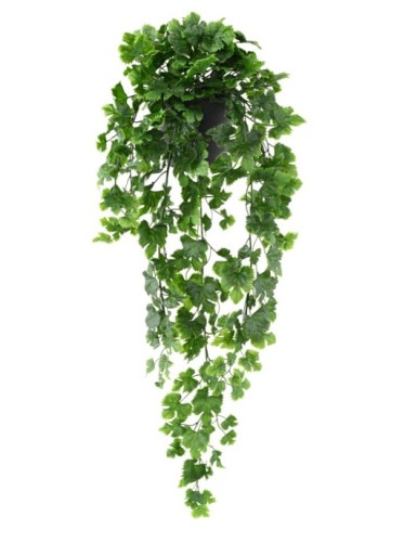 WEINREBE HÄNGEKUNSTPFLANZE...