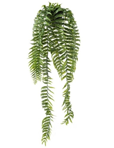 HELECHO COLGANTE 75 EN MACETA