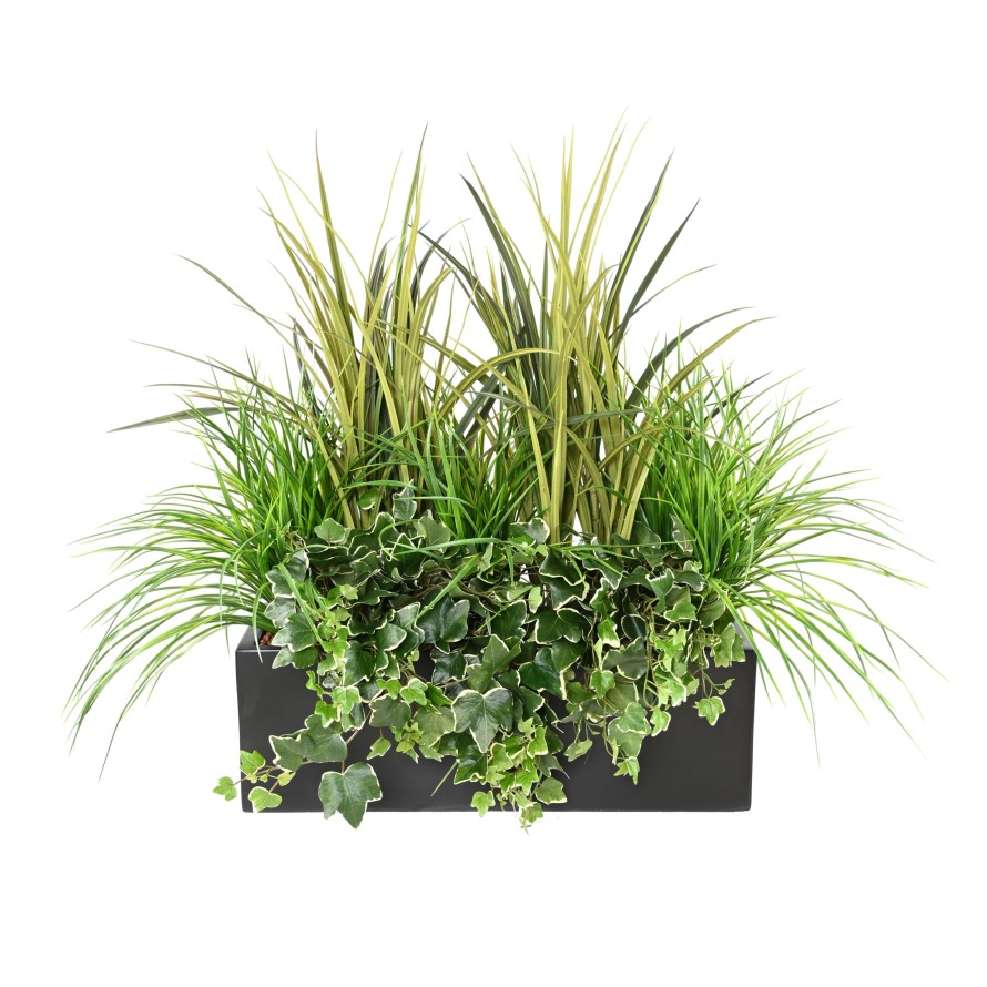 JARDINERA GRAMÍNEAS 2