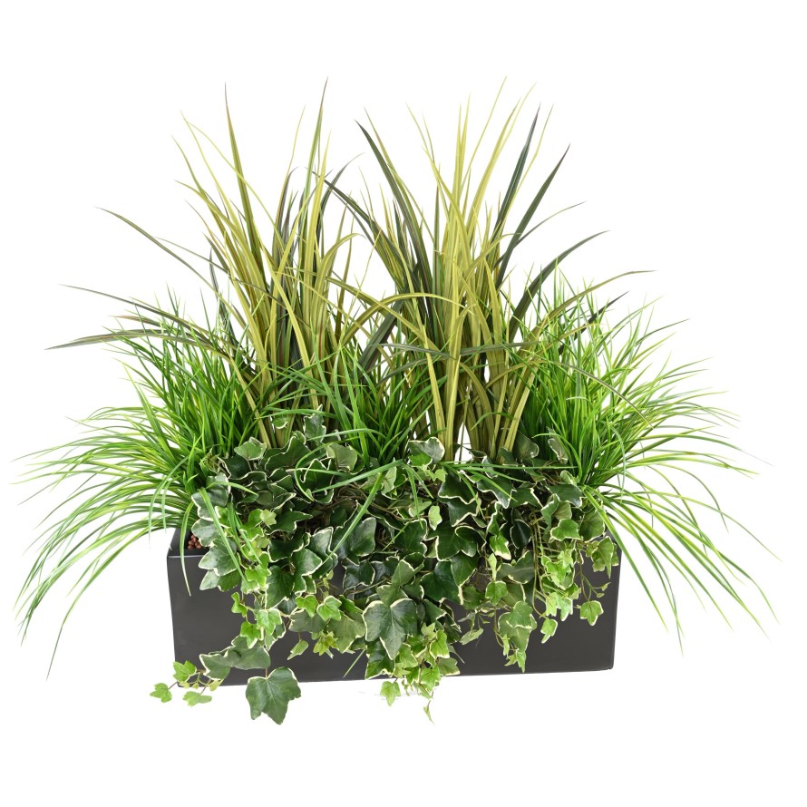 JARDINERA GRAMÍNEAS 2