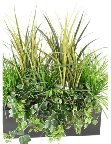 JARDINERA GRAMÍNEAS 2