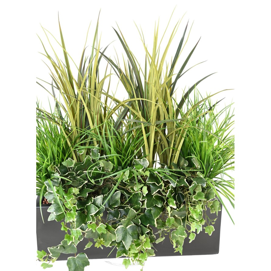 JARDINERA GRAMÍNEAS 2