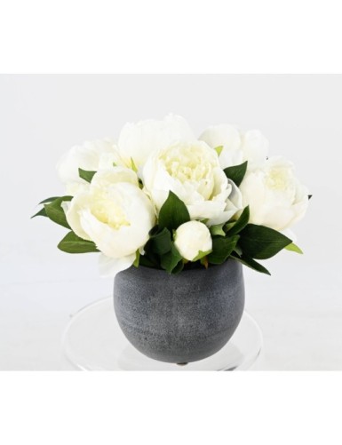 ARRANGEMENT WEISSE...