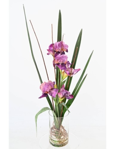 STRAUSS IRIS MAUVE