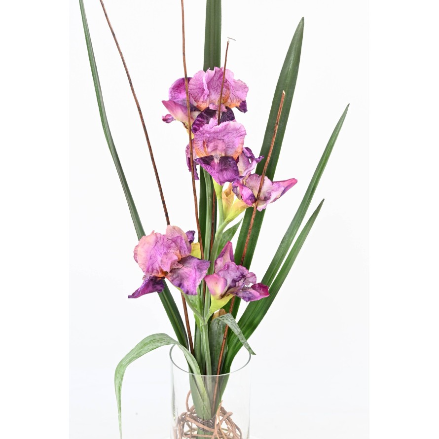STRAUSS IRIS MAUVE