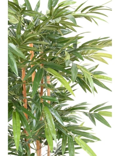 BAMBÚ ECO 3 170 CM