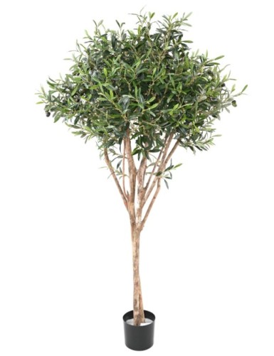 OLIVO TOPPING TREE