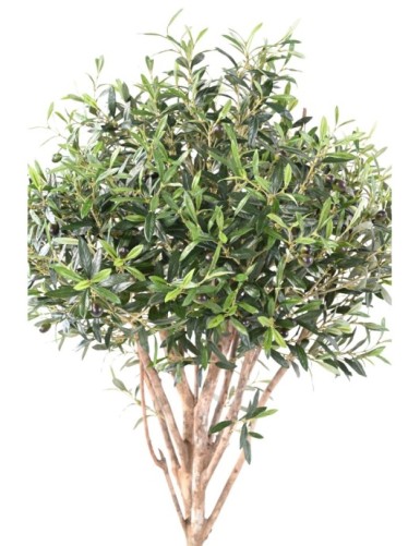 OLIVO TOPPING TREE