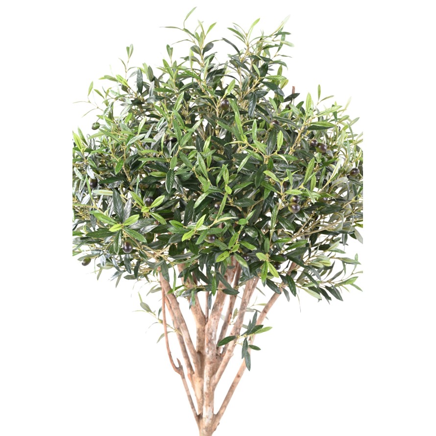 OLIVE TREE TOPPING