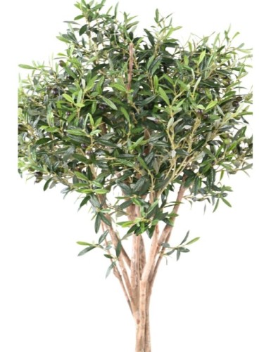 OLIVENBAUM TOPPING TREE