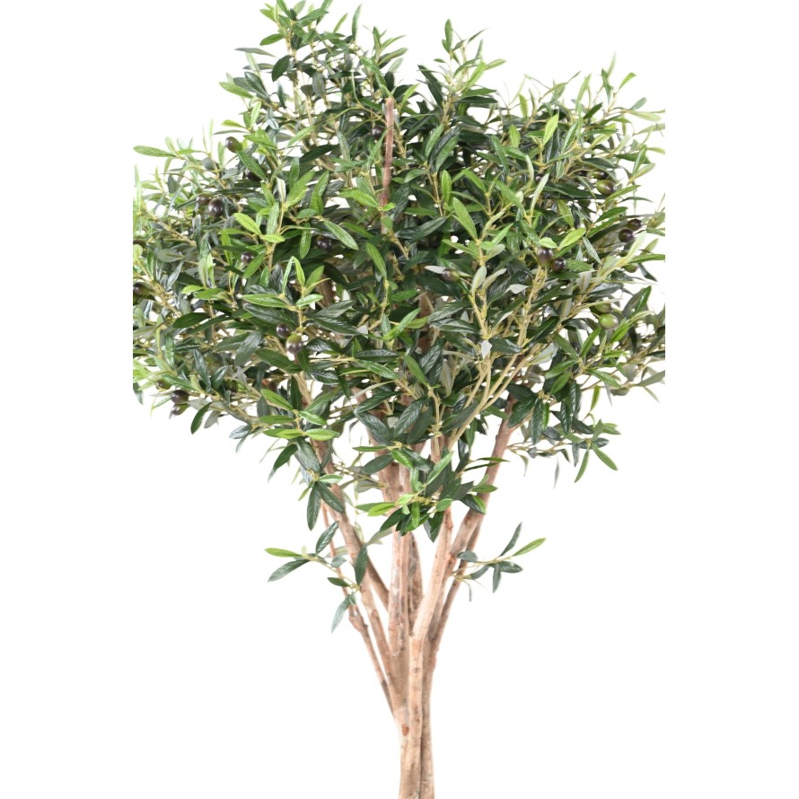 OLIVO TOPPING TREE