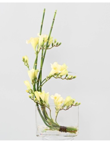 RAMO DE FRESIA BLANCA