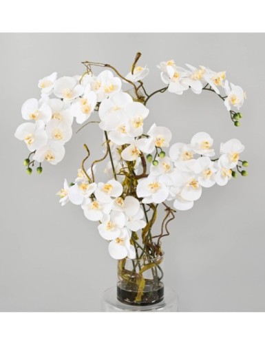 ARRANGEMENT PHALAENOPSIS