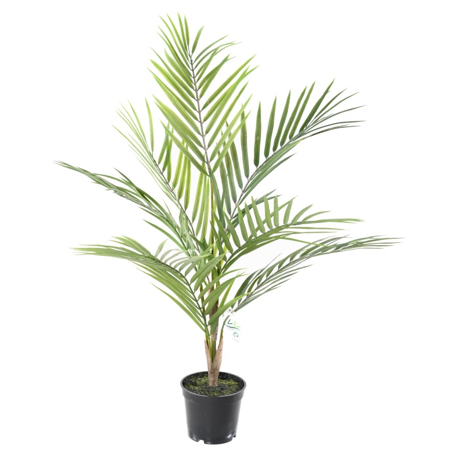 ARECA PLAST