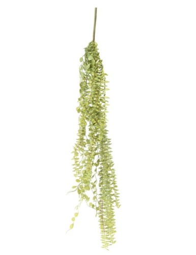 PLANTA COLGANTE SURTIDA