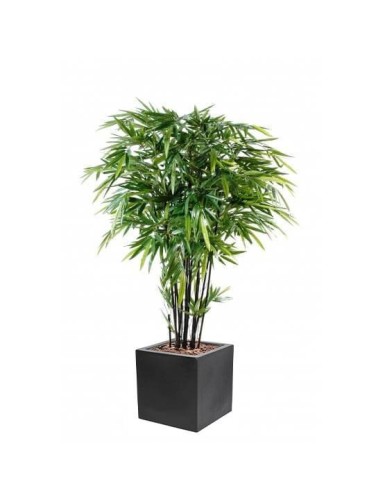 BAMBUS BLACK NATURAL IN...