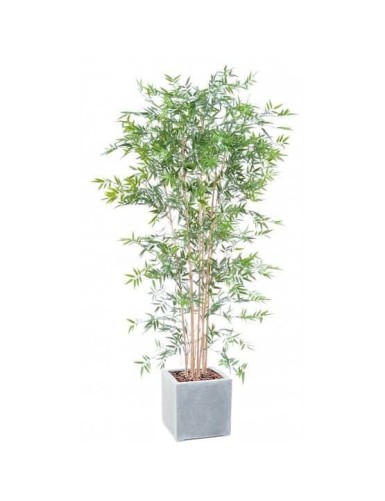 BAMBUS JAPANESE PLAST UV IN...