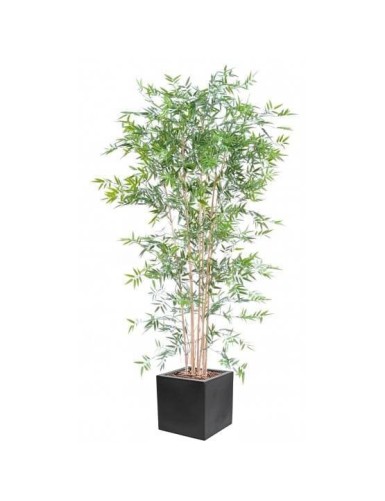 BAMBUS JAPANESE PLAST UV IN...