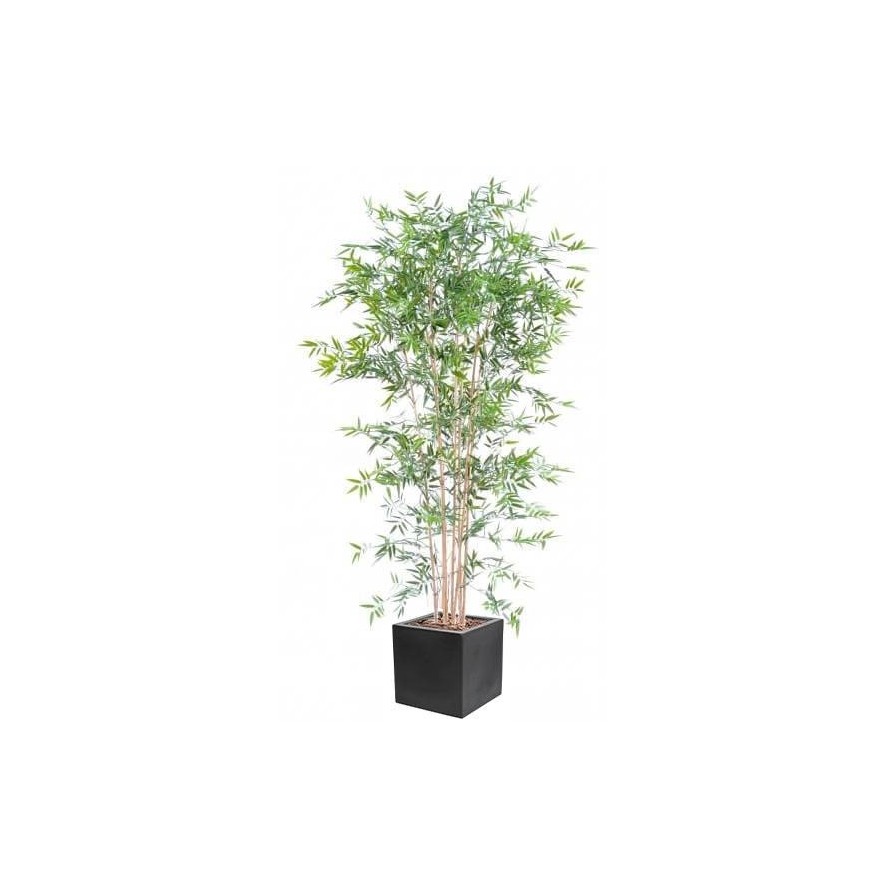 BAMBOO JAPANESE PLAST UV IN CUBIC FIBER