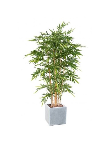 BAMBUS NEW LUXE IN...