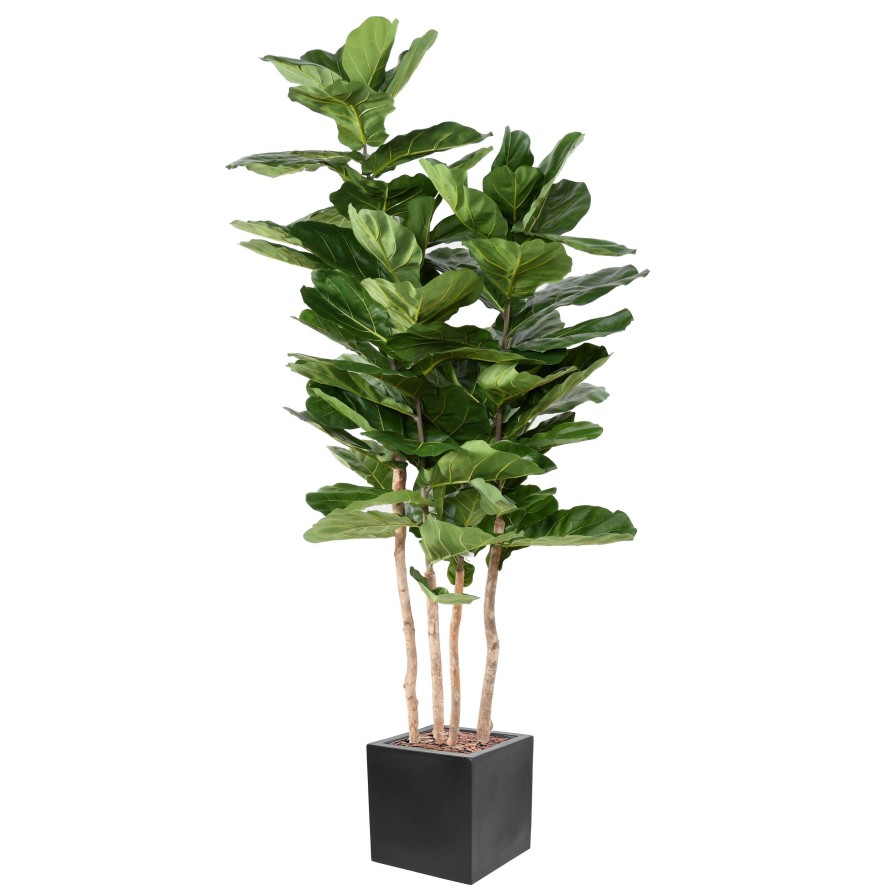 LYRATA MULTI GF IN KUBISCHER PFLANZWÜRFEL FIBER