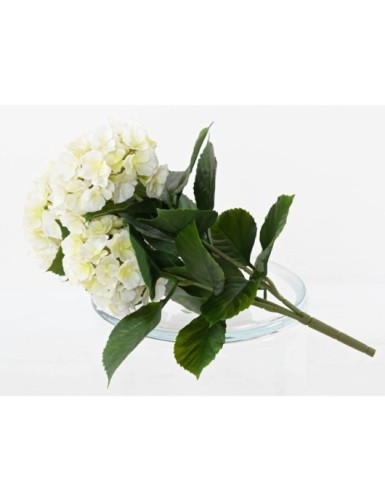 HORTENSIA *3C 45 RESISTENTE A LOS RAYOS UV