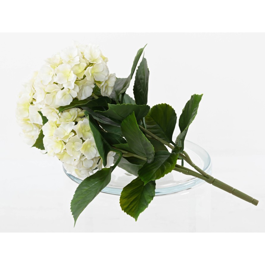 HORTENSIA *3T 45 UV-BESTÄNDIG