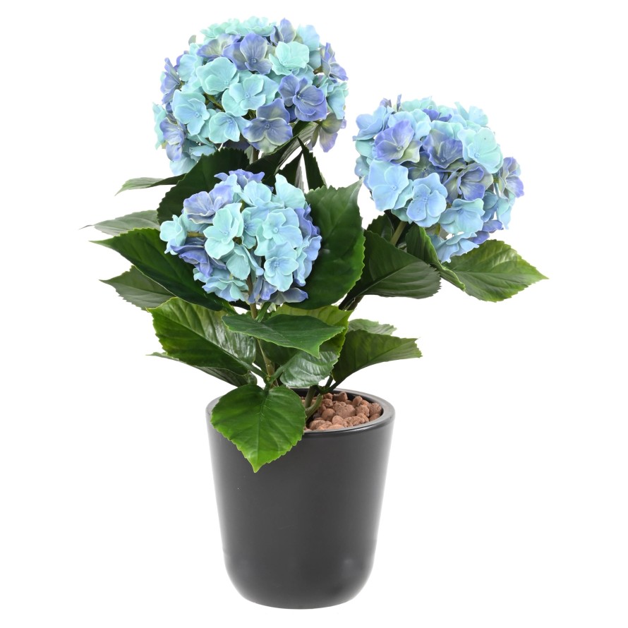 HORTENSIA *3C 45 RESISTENTE A LOS RAYOS UV