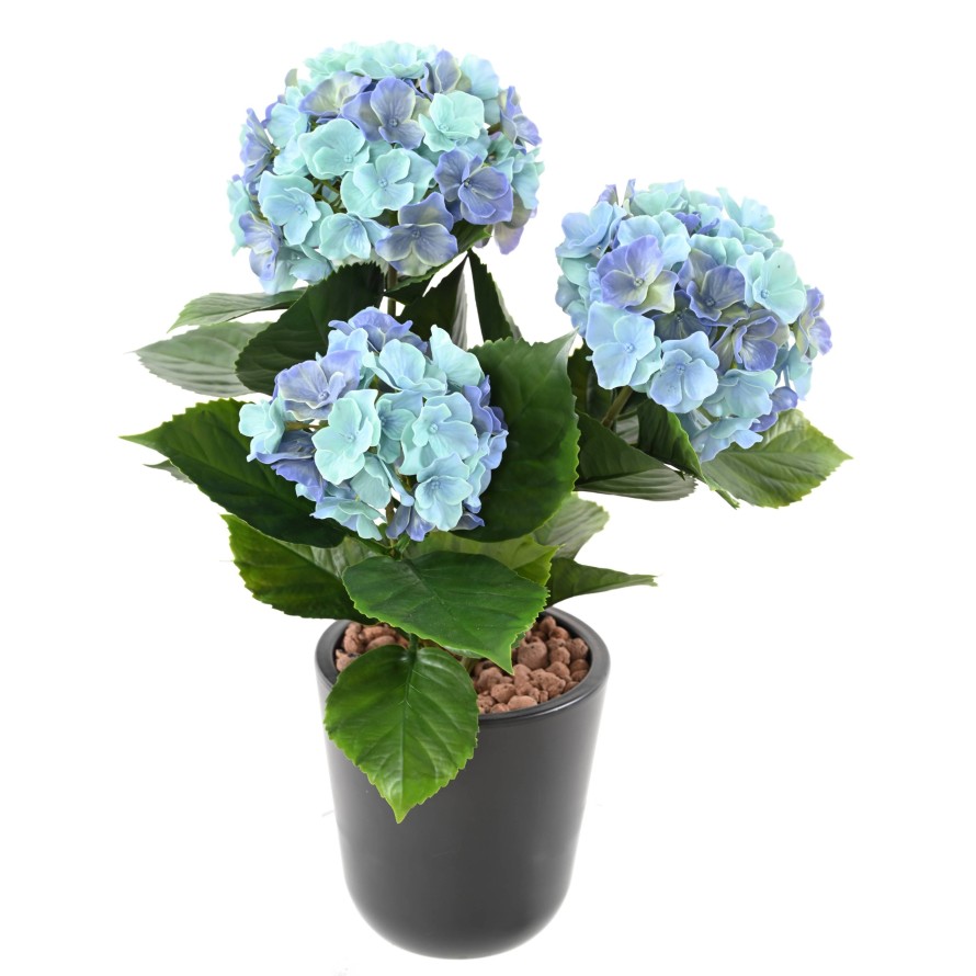 HORTENSIA *3T 45 UV-BESTÄNDIG