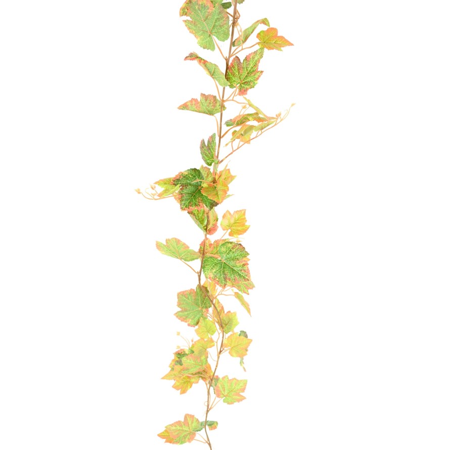 WEINREBE GIRLANDE 200