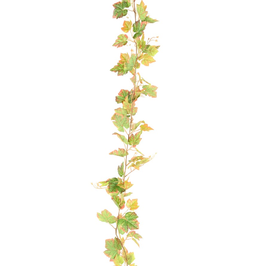 WEINREBE GIRLANDE 200