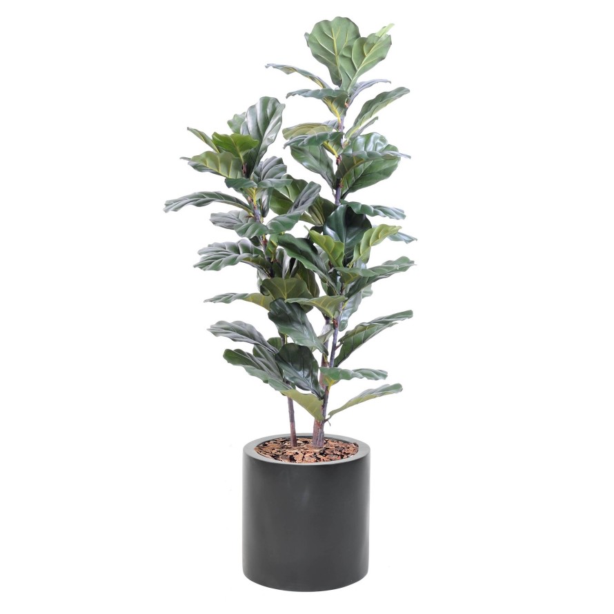 LYRATA TALLO EN CILINDRO FIBER