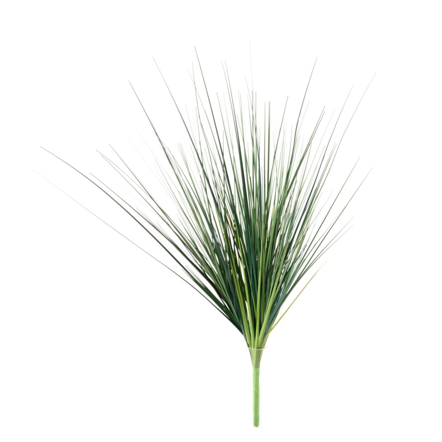 ONION GRASS LARGE BUSH (Net promotional price)