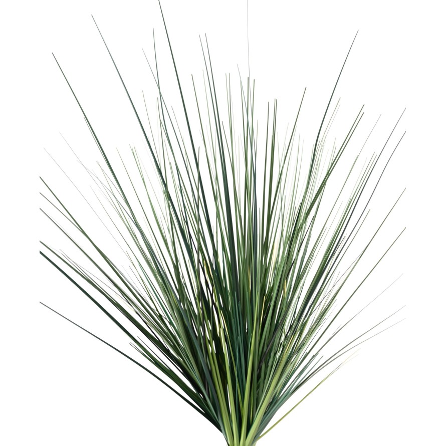 ONION GRASS PIQUET LARGE (promo net)