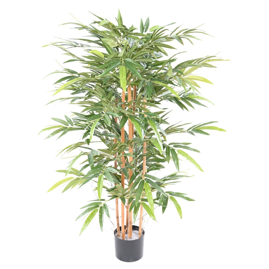 BAMBUS EKO 3 145 CM