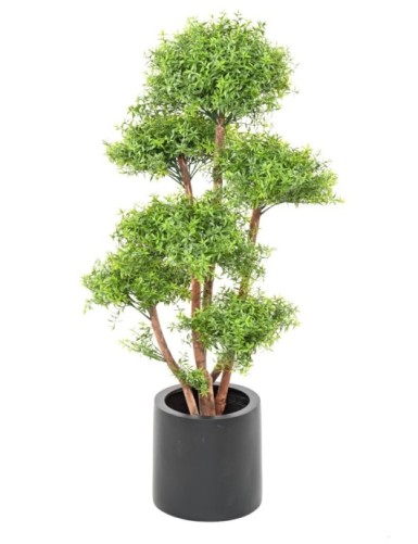 EUCALIPTO M TREE RESISTENTE A LOS RAYOS UV