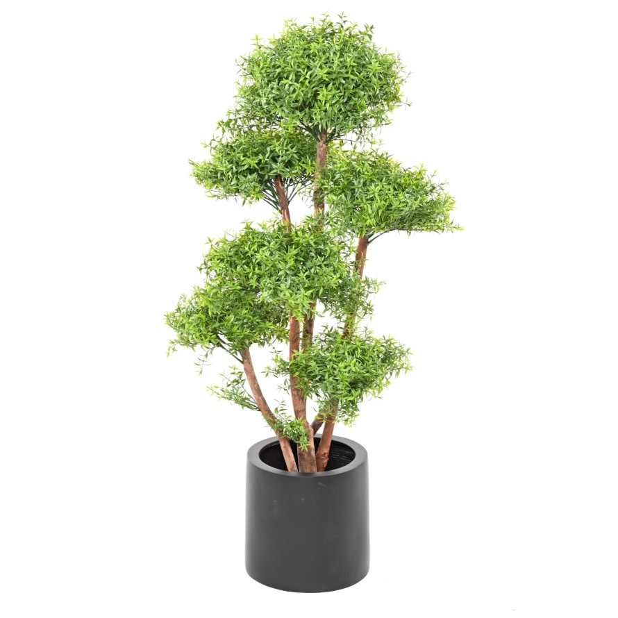 EUKALYPTUS 81 M TREE UV