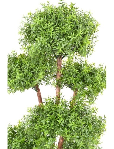 EUCALIPTO M TREE RESISTENTE A LOS RAYOS UV