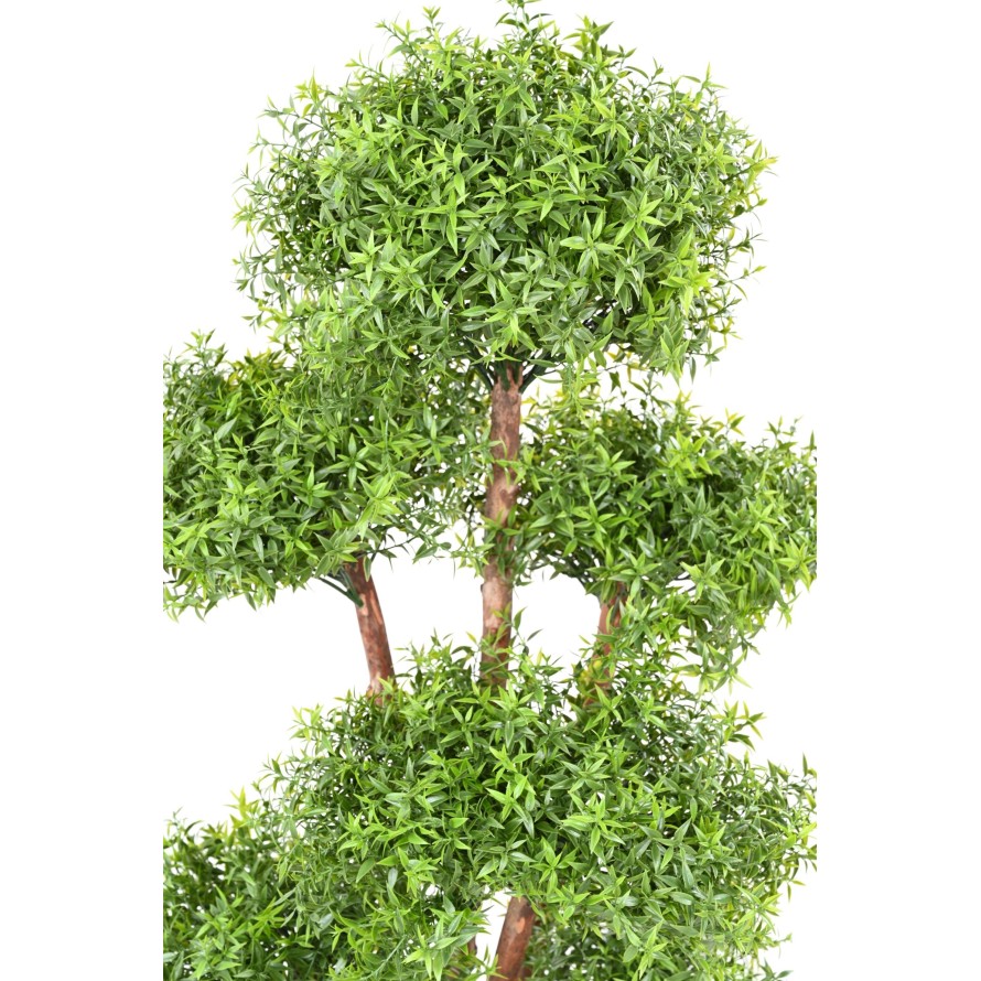 EUKALYPTUS 81 M TREE UV