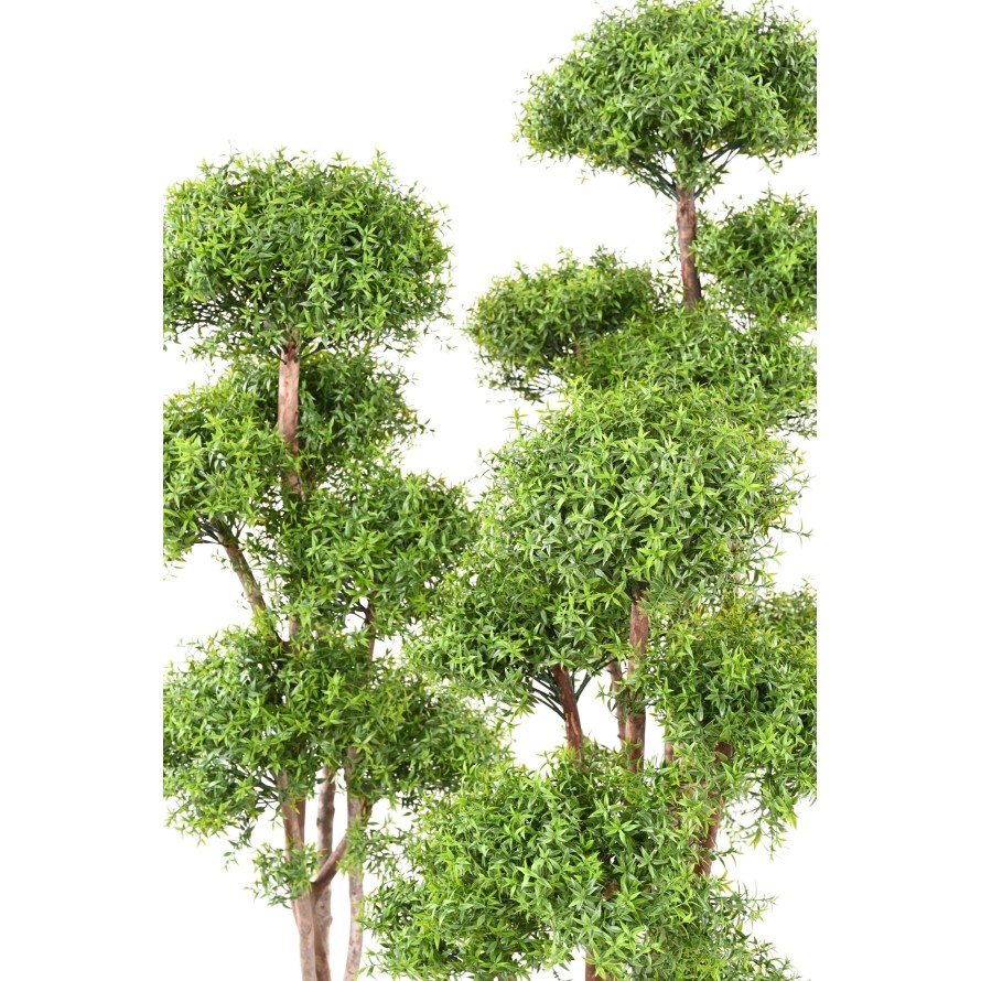 EUCALIPTO M TREE RESISTENTE A LOS RAYOS UV