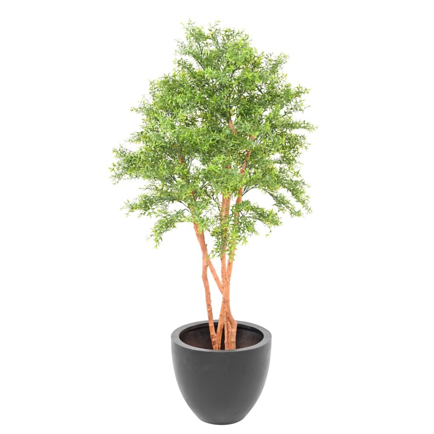 EUCALIPTO TREE RESISTENTE A LOS RAYOS UV