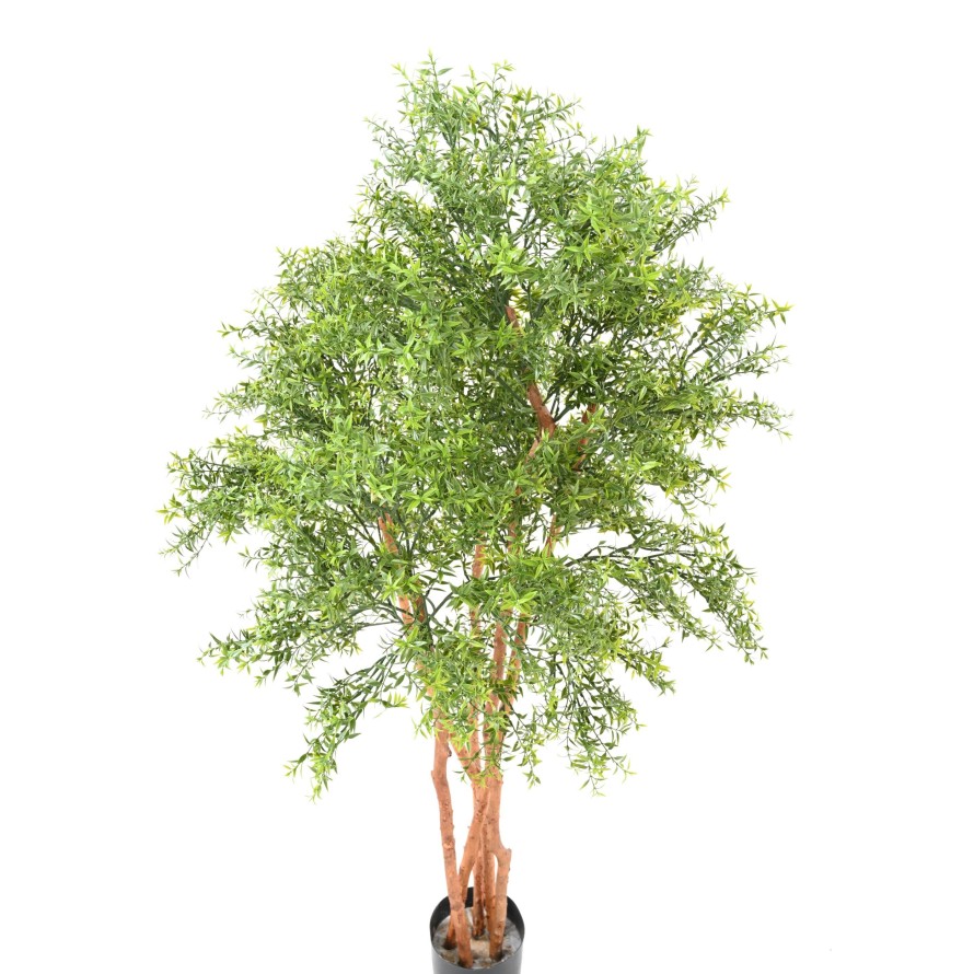 EUCALIPTO TREE RESISTENTE A LOS RAYOS UV