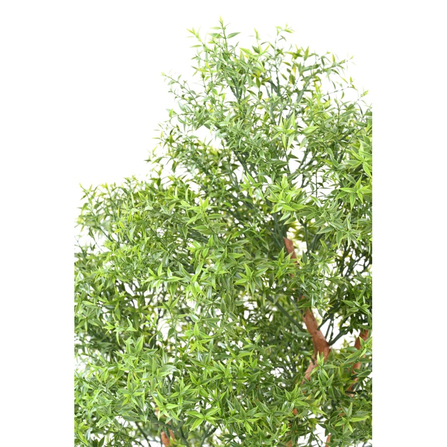 EUCALIPTO TREE RESISTENTE A LOS RAYOS UV