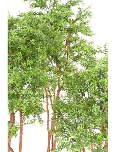 EUCALIPTO TREE RESISTENTE A LOS RAYOS UV