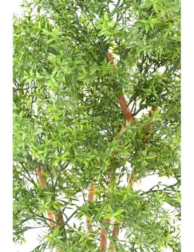 EUCALIPTO TREE RESISTENTE A LOS RAYOS UV