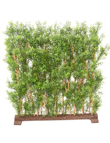 EUKALYPTUS 81 UV HECKE